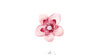 Fleur rose pâle et fuchsia x5