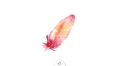 Pink feather x5
