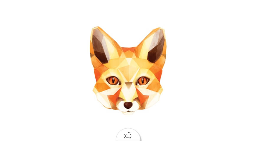 Little fox x5