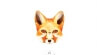 Little fox x5
