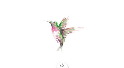 Hummingbird x5
