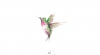 Colibri x5