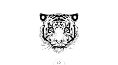Tigre x5