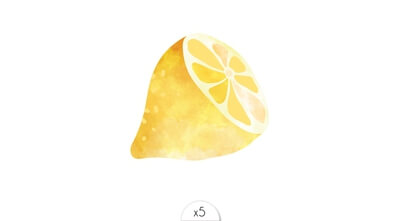 Lemon x5