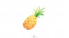 Pineapple x5