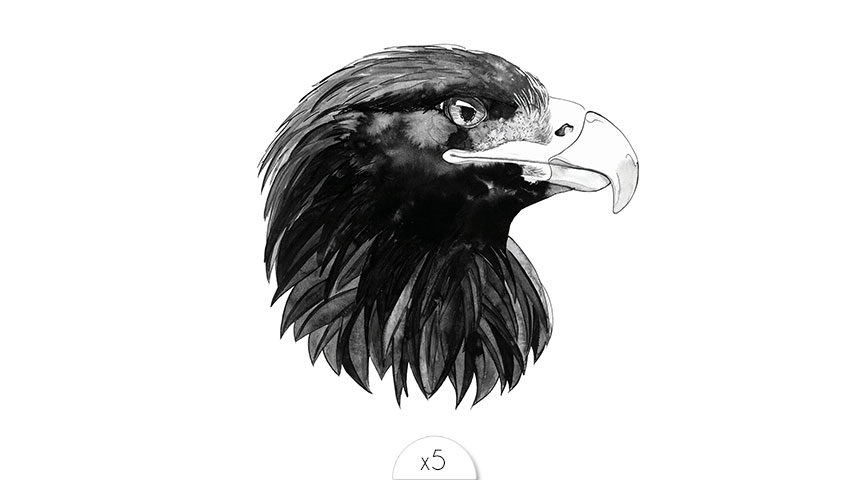 Eagle