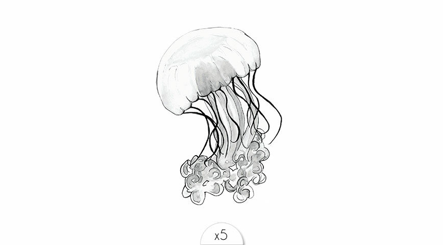 Jellyfish x5