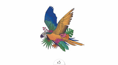 Parrot x5