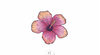 Fleur d'hibiscus x5