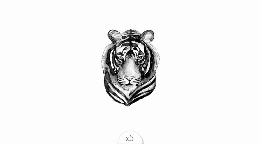 Tiger x5