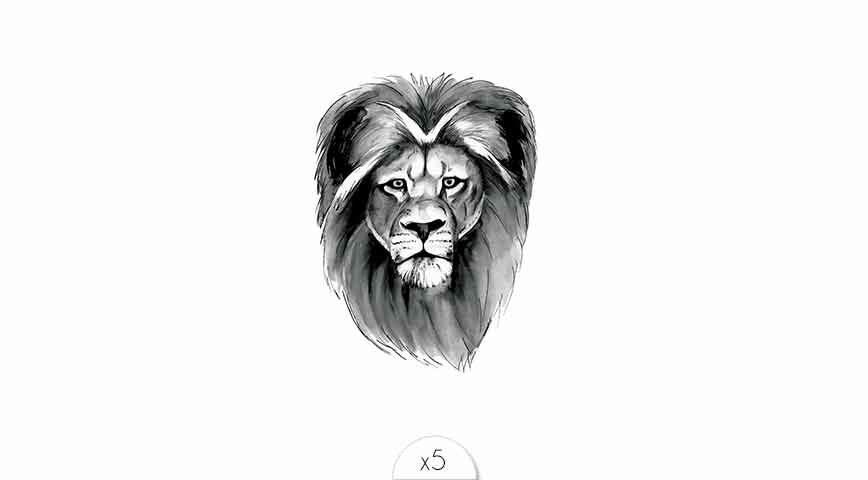Lion x5