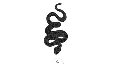 Snake x5