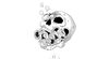 Floral skull x5