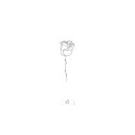 Temporary tattoos One line rose x5