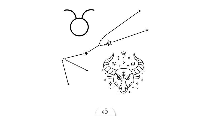 Taureau x5