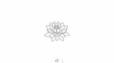 Fleur de lotus x5