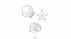 Shells x5