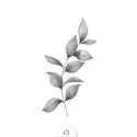 Tatouage éphémère - Branche x5