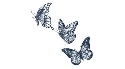 Flight of butterflies x5