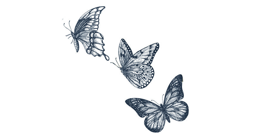 Flight of butterflies x5