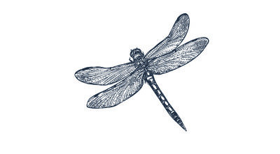Dragonfly x5