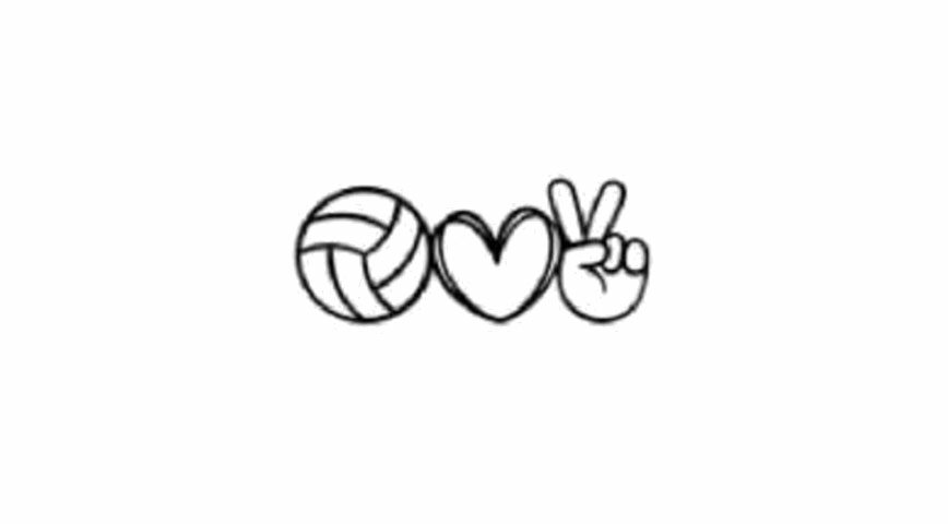 Volley x5
