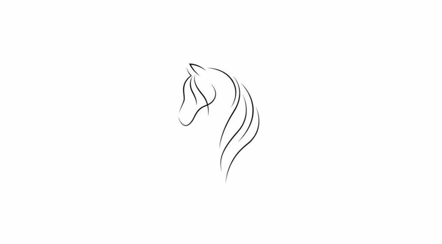 Tête de cheval one line x5