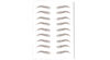 Brown therapeutic eyebrows