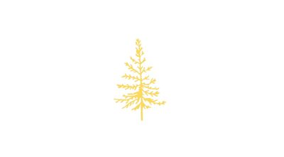 Sapin doré x5