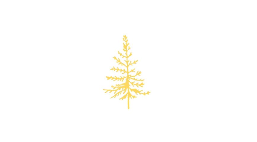 Sapin doré x5
