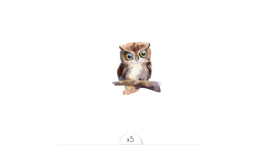 Le Hibou x5