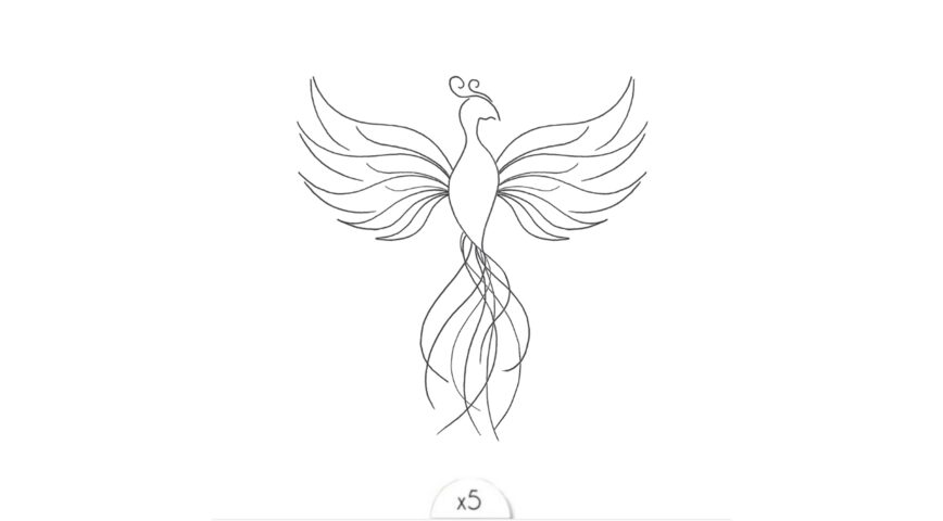 Le phénix x5