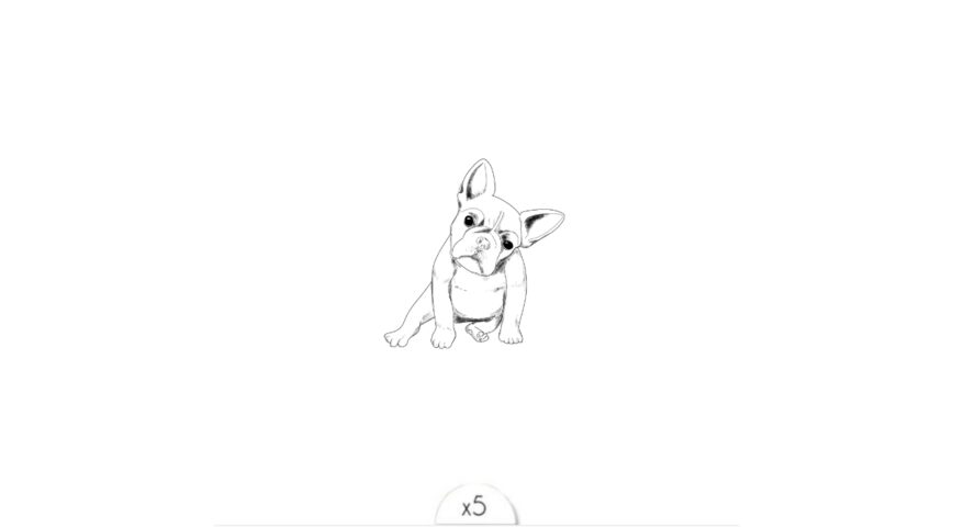 Le bouledogue x5