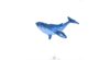 La baleine bleue x5