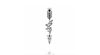 Bohemian arrow x5