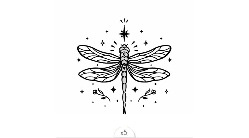 The enchanted dragonfly x5