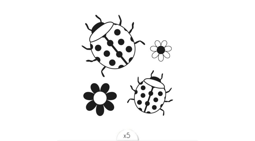 Les coccinelles x5