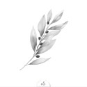 Tatouages éphémères Sioou - Rameau d'olivier x5