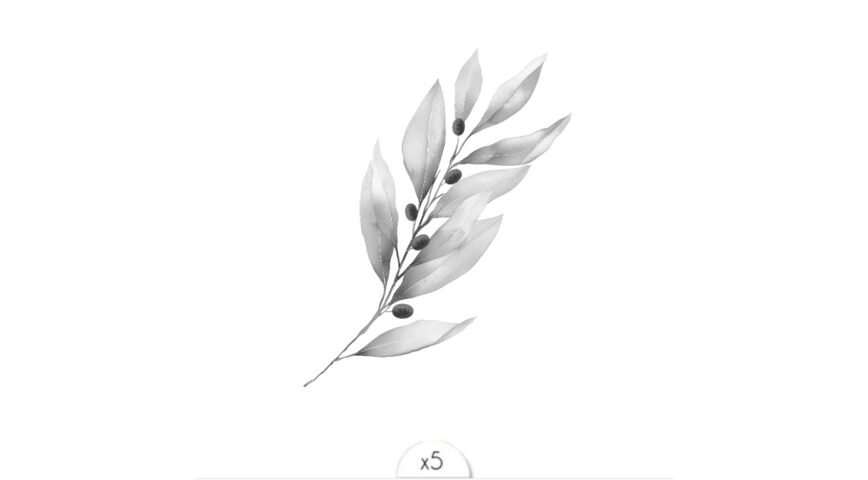 Olive branch x5