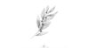 Rameau d'olivier x5