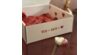 Valentine's Day Box 2025