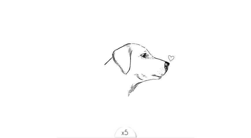 La tête de chien x5