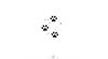 Pattes d'animaux x5