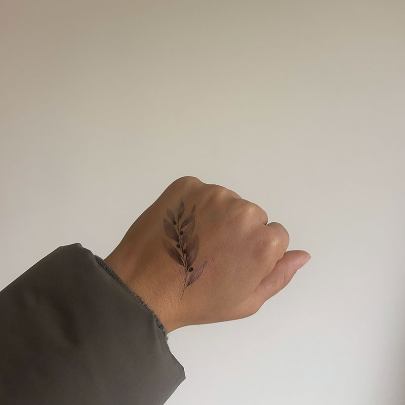 tatouages éphémères Rameau d'olivier