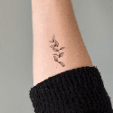 tatouages temporaires  Branche x5