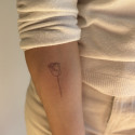 Temporary tattoos   Rose one line