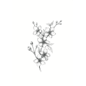 Tattoo temporaire Sioou - Fleur de cerisier