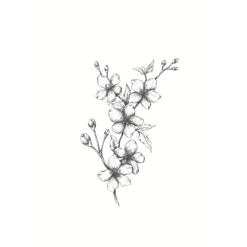 Tattoo temporaire Sioou - Fleur de cerisier