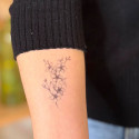 Tattoo temporaire Sioou - Fleur de cerisier