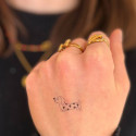 Tatouage éphémère Sioou - Le teckel